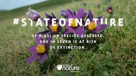 State of Nature infographic which states 'Of 8,431 species assessed, one in seven is at risk of extinction'