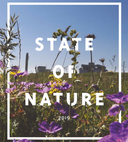 state of nature report