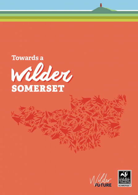 towards a wilder somerset document