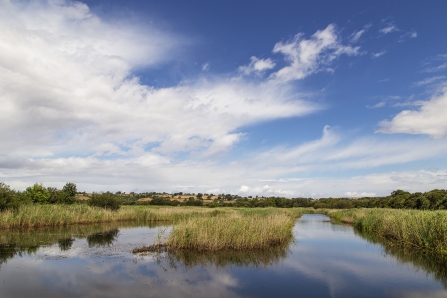 Westhay Moor