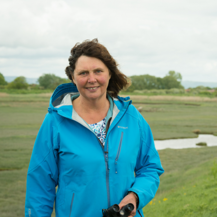 trustee Helen Lawy
