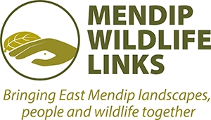 mendip wildlife links logo