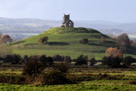 Burrow Mump