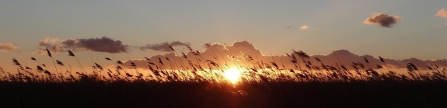 Levels sunset