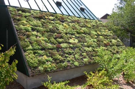 Green roof