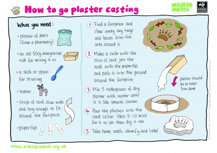How to plaster cast