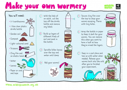 Make a wormery