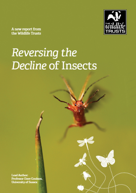 Reversing the decline of insects