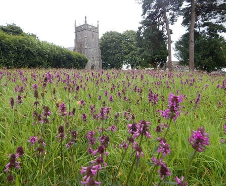 Priddy churchyard