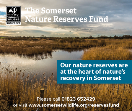 The Somerset Nature Reserves Fund 