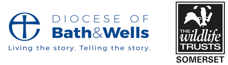 SWT and Diocese of Bath and Wells logo