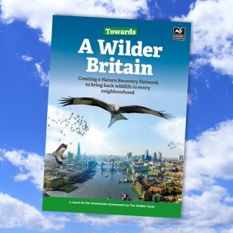 Towards a Wilder Britain