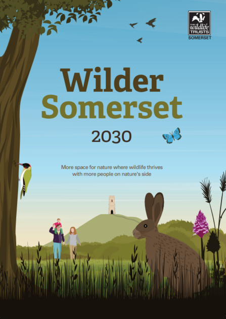 Wilder Somerset 2030