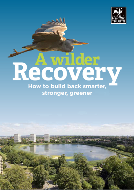 A Wilder Recovery cover