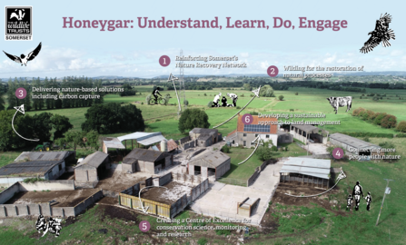 image of Honeygar with text overlay