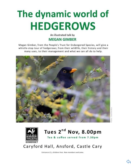 poster for dynamic world of hedgerows