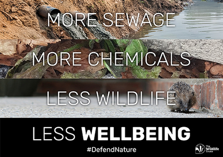 Image with text: more sewage, more chemicals + less wildlife, less wellbeing