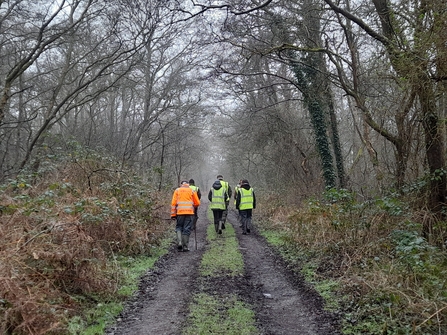 A group of interested farmers walking out to see the restoration happening at Shapwick.