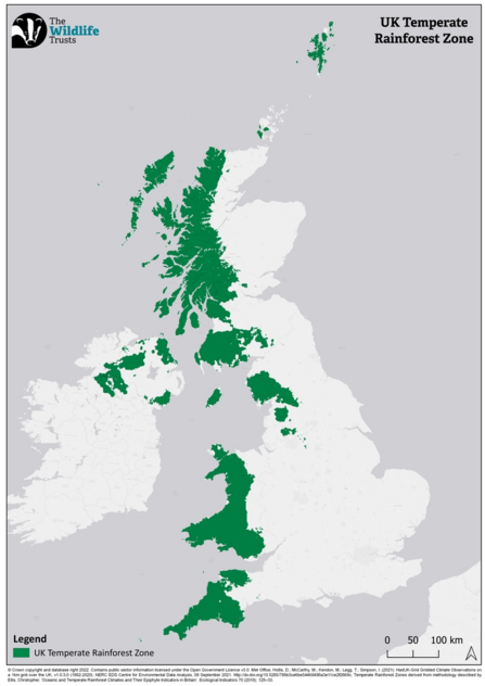 221114 UK Temperate Rainforest Zone