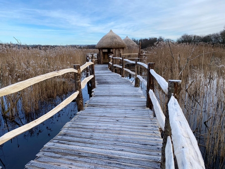 Wooden boardwark leading to newly completed accessible ‘island' viewing hide, Westhay Moor