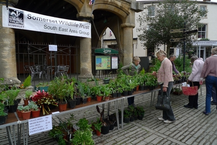 Tables outside laid out with plants for sale