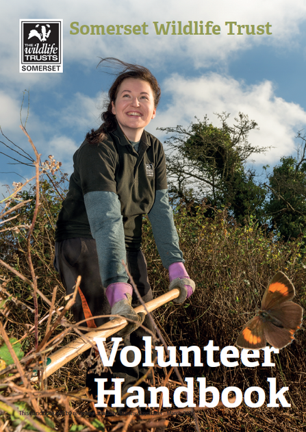 Volunteer working on the reserves