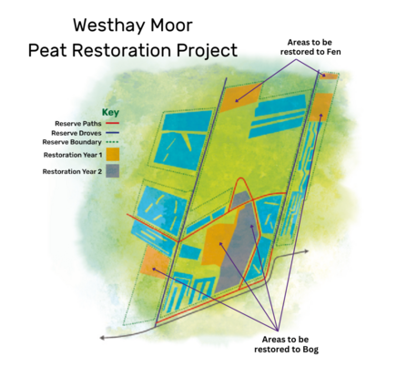Westhay Moor Restoration Project map illustration 