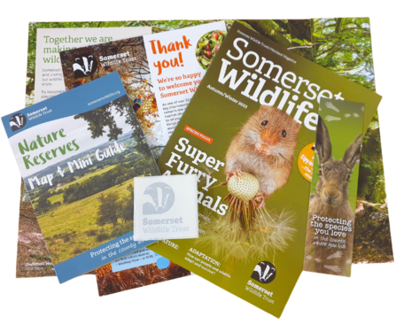 Membership | Somerset Wildlife Trust