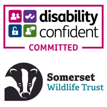 Disability Confident Committed logo