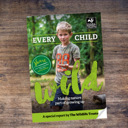Every Child Wild cover