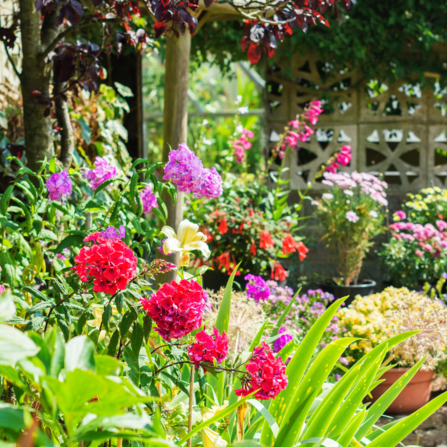 Garden filled with bright colourful flowers in pots and containers