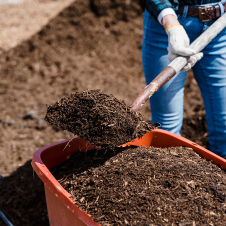Brown Soil in Orange Plastic Bucket