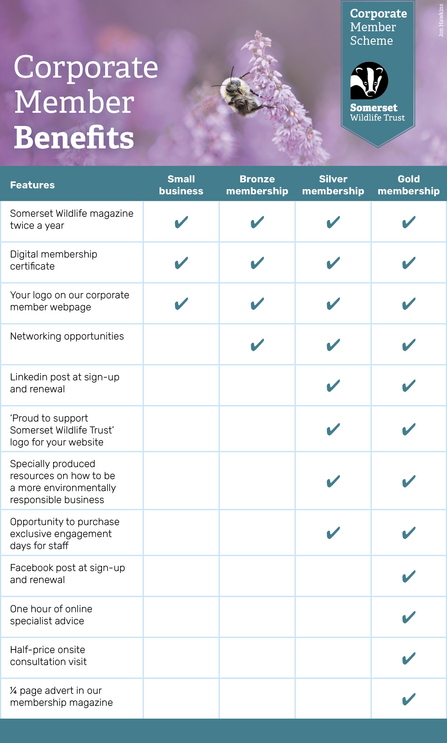 Corporate Membership benefits graphic