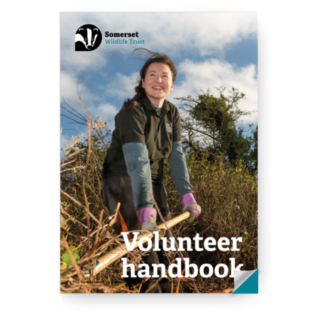 Volunteer handbook cover image