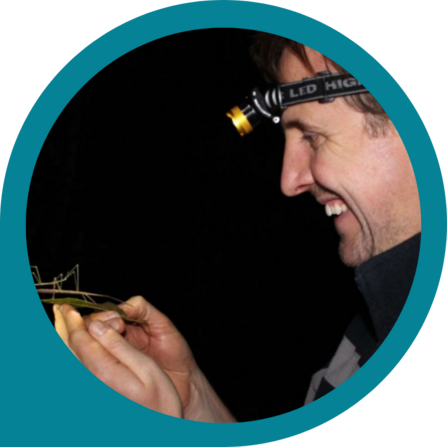 Dr Mark Steer, Trustee