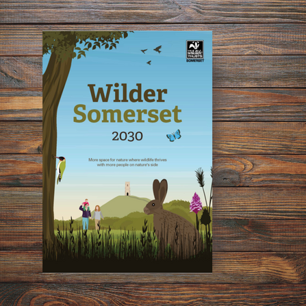 Wilder Somerset 2030 document on a tabletop