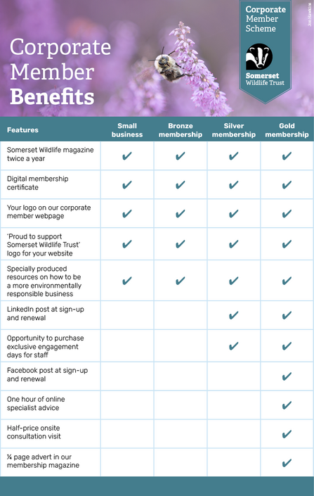 Corporate Membership benefits graphic