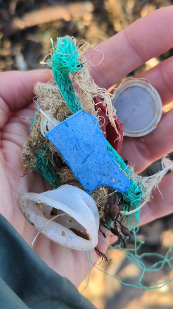 A hand showing plastic picked up from the beach