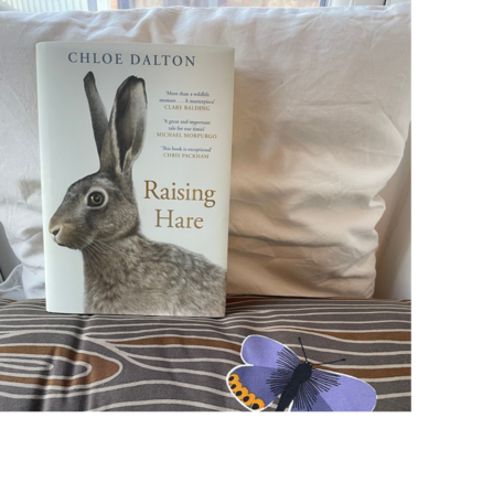 The cover of the book Raising Hare by Chloe Dalton
