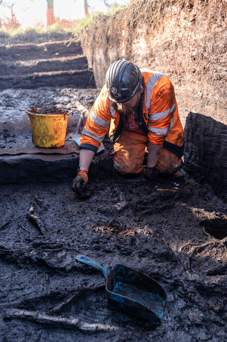 Project Supervisor Max Dampier working on a prehistoric wooden track at the Honeygar site in Somerset