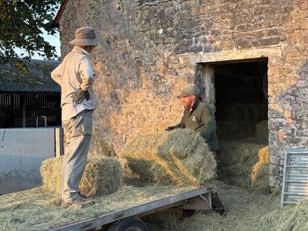 Hay cutting at Chancellor's Farm 2026