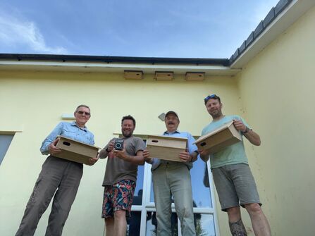 Three swift boxes being installed