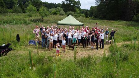 Party for Jubilee Wood
