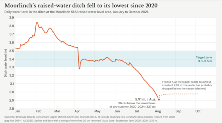Graph from Internal Drainage Board data depicting water levels at Moorlinch SSSI