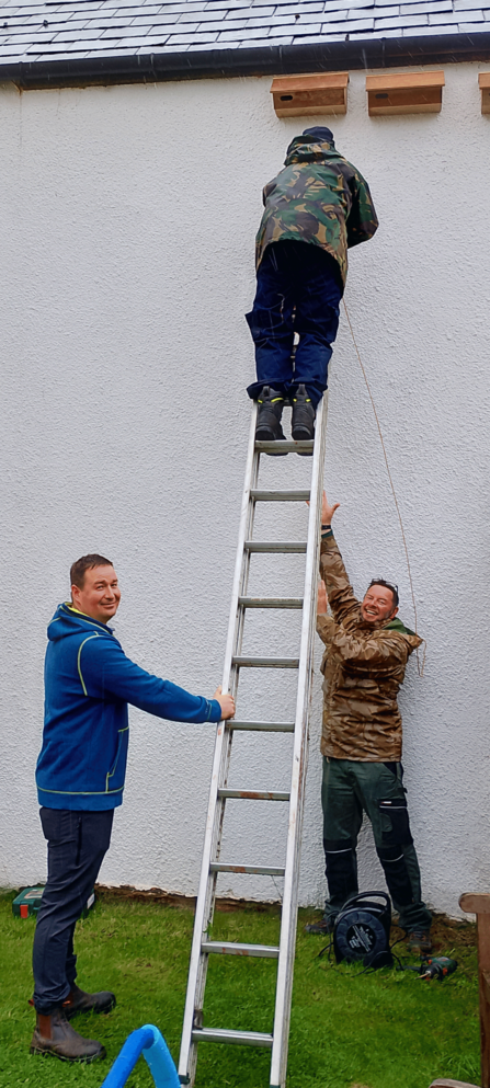 Three swift boxes being installed