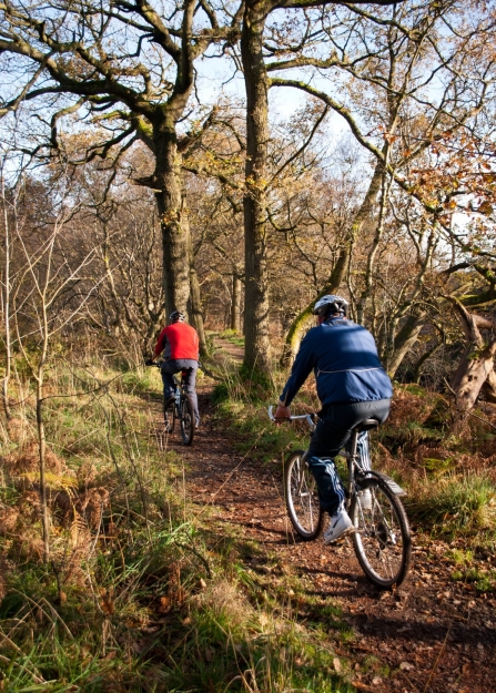 Pair of people cycling