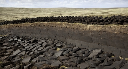 Community peat diggings