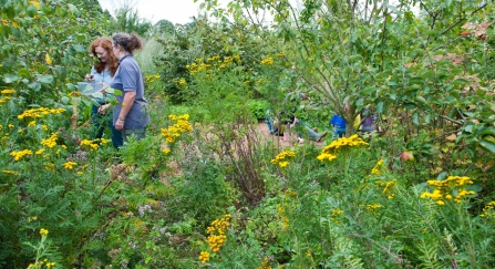 People enjoying wildlife garden