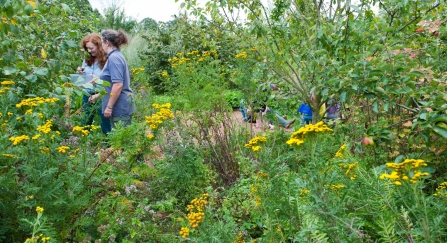 People enjoying wildlife garden