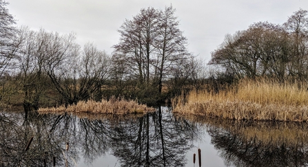 Westhay
